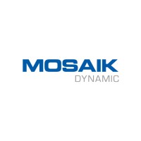Mosaik Dynamic logo - Similar company to Cis Optim'Axes