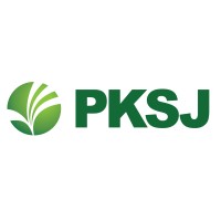PKSJ GROUP logo - Similar company to Skylego Technology