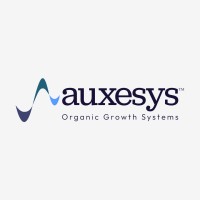 Auxesys logo - Similar company to Data Domini