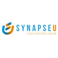 Synapse Center Thiès logo - Similar company to Synapse Center