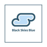 Black Skies Blue Ltd logo - Similar company to Lead Powerful Impact | B Corp™