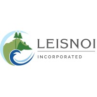 Leisnoi, Inc. logo - Similar company to Network Specialists