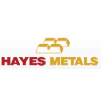 Hayes Metal logo - Similar company to Antares Group