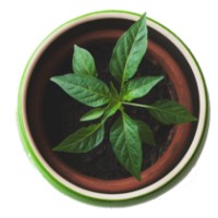 Torus Biosciences logo - Similar company to Microsidd India