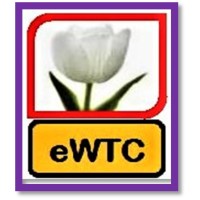 Ekini White Tulip Consulting Limited logo - Similar company to High Performance Consulting