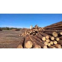 SMF HOLDINGS, INC. logo - Similar company to Rusticlumberco