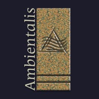 Ambientalis Análises de Ambientes Ltda logo - Similar company to Oxigene.Cc