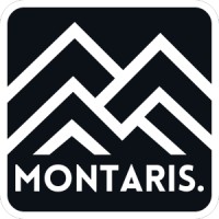 Montaris Group logo - Similar company to Allstar Events Group