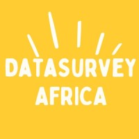 DataSurvey Africa logo - Similar company to Primus Ingénierie