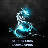 Blue Dragon Landscaping logo - Similar company to Studio Nosto