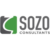 SOZO Consultants logo - Similar company to The Liners