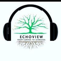 EchoView Society logo - Similar company to Bhu: Psyconnect