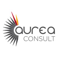Aurea Consult logo - Similar company to Aurea Select