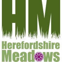 Herefordshire Meadows