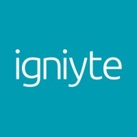 Igniyte | Expert online reputation management for businesses, brands and individuals logo - Similar company to Sleek Networks