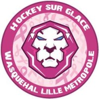 LES LIONS DE WASQUEHAL LILLE METROPOLE logo - Similar company to Bruges 33 Handball