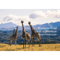 Intle Boutique Hotel logo - Similar company to Gwali Projects