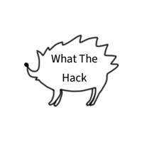 What The Hack logo - Similar company to Startup Ballymun
