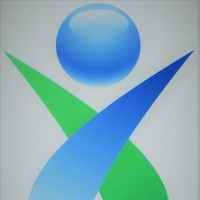 Madeolo Consult logo - Similar company to Enterprising Partnerships