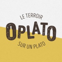 OPLATO logo - Similar company to Smzconsulting Services