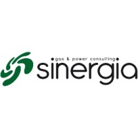 Sinergia Consulting Srl logo - Similar company to D&P