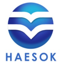 Haesok Shipping India Pvt Ltd logo - Similar company to Srish Logistics Pvt Ltd