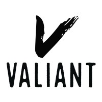 Valiant Men's Development Group logo - Similar company to Amp Learning And Development