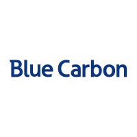 Blue Carbon-Solar Light Manufacturer logo - Similar company to Niudi Solar Light