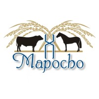 Mapocho Agropecuária logo - Similar company to Utech.Cx