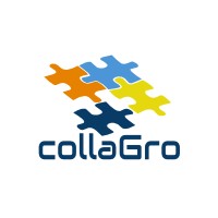 Collagro Solutions India Pvt. LTD logo - Similar company to Alliance Consulting Services