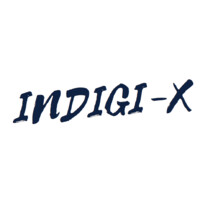 INDIGI-X logo - Similar company to Isparx™