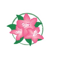 The Azalea Group of Companies