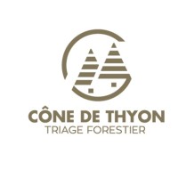Cône de Thyon Triage forestier logo - Similar company to Triage Forestier Du Vallon