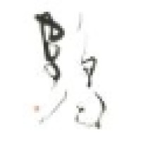 Tsuru Capital LLC logo - Similar company to Better Ag
