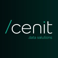 Cenit Solutions logo - Similar company to Elevate A/B Testing