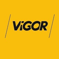 Firma VIGOR logo - Similar company to Jbs Optima