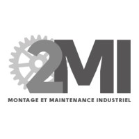 2 M I logo - Similar company to Ais Electrical