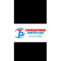 TRADEPROS PERFECTION PVT LTD logo - Similar company to Tagscripts Digital
