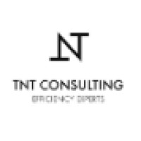 TNT Consulting PC logo - Similar company to Ckg Projects