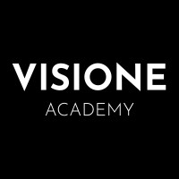 Visione Academy logo - Similar company to Visione Academy