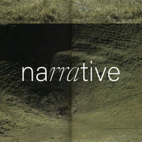 Native Narrative logo - Similar company to Anushka Gupta Design