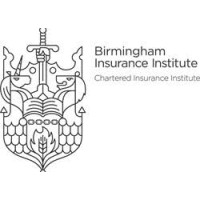 Birmingham Insurance Institute logo - Similar company to Ede Financial