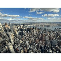 Executive Sales Consultant logo - Similar company to Tomato Noir