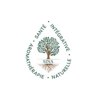 SINA logo - Similar company to Fiae Sarl