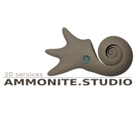 Ammonite Studio logo - Similar company to Studio Sixtine