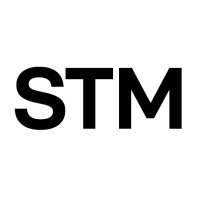 Swiss Talent Management logo - Similar company to Brainforce Switzerland - Interim Management & Consulting