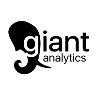 Giant Analytics logo - Similar company to Byte Sigma Llc