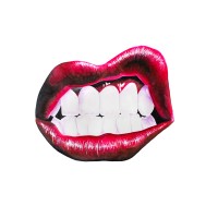 Smart Mouth Designs logo - Similar company to Scott Simpson Design + Build