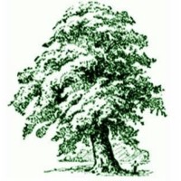 FORESTER TPC LIMITED logo - Similar company to 3D Laser Technology