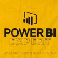 Power BI Expert Na Prática logo - Similar company to Power Bi Expert